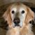 Linda Racine Frederick's profile image