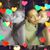 Jessy Southerland's profile image