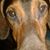 Tina Strohmier's profile image