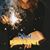 Oksana Tsarenko's profile image