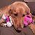 John Burtle's profile image