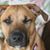 Michael Schrank's profile image