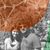 Sonam Chetal's profile image