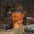 Jack Cates's profile image