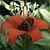 Jeannette Manaigre's profile image