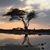 Linda Hussey's profile image