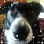 Rhonda Spiehs Stuvick's profile image