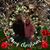 Deanna Lee Thomas's profile image