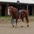 Jaime Declet's profile image