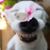 Angelia Olaiz Childers's profile image