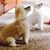 Linda Pappenheim's profile image