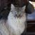 Nancy Hinds's profile image