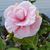 Katherine F Sweeney's profile image