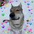 Kris Wilner's profile image