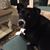 Cara Chapman Sprigg's profile image