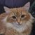 Kelly Waldron's profile image