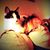Susan Renee's profile image