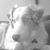 David Shutt's profile image