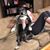 Shanna Kelly's profile image