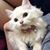 Lorraine Taylor's profile image