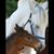 Lyne Francoeur Ostholthoff's profile image