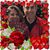Maria Camilo Bandel's profile image