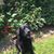Julie Williams's profile image