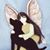 Shelley Glenn's profile image