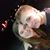 Alison LaLuzerne's profile image