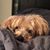 Gary Zavodnick's profile image