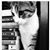Amy Clavette's profile image