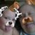 Alice Outen's profile image