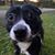 Cindi Whitcomb's profile image