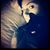 Shanna Droukis's profile image