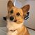 Deborah Hosmer's profile image