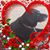 David Gordy's profile image
