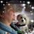 Eleanor Whitesell's profile image
