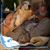 Cassie S. Tritthart's profile image