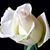 Kathy Kinney's profile image