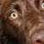 Cindy Twombly's profile image