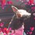 Bernice Grzybowski's profile image