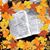 Gail Harless's profile image