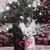 Brandi Raymond Hartzfeld's profile image