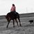 Stephanie Manhart's profile image