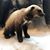 Roger Flournoy's profile image