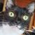 Lyn Rathgeber's profile image