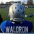 Ray Waldron's profile image
