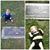 Cheri Thiel Robinson's profile image
