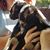 Kiersten Parkerson's profile image