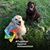 Debbie Ann Erhardt's profile image